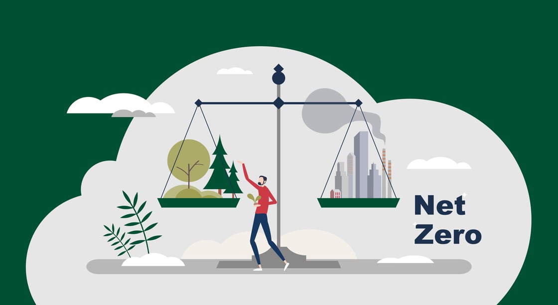 Net Zero: How to develop strategies using sustainability reporting standards