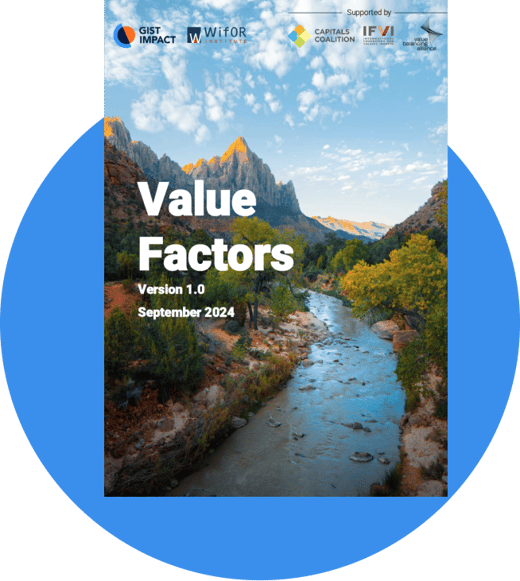 Value Factors-1